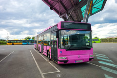 LE MET' / Irisbus Agora L n°0442