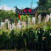 Phot.Beijing.Cultural.Ethnic.Park.Corn.Bags.01.100803.4057.jpg