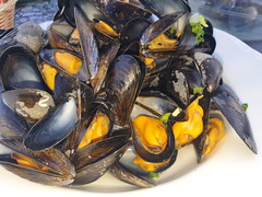 Mussels - Photo of Roz-Landrieux