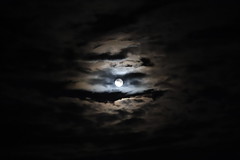 The Moon - Photo of Monneren