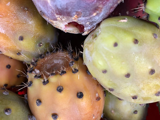 ripe prickly pear fruit