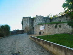 ChâteauThierryCastle - Photo of Gland