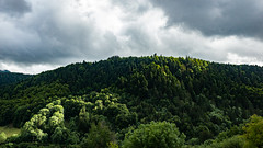 Trees - Photo of Saint-Sauves-d'Auvergne