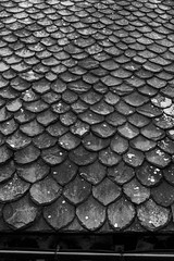 Roof - Photo of Laqueuille