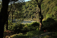 Mon petit coin de rivière - Photo of Saumane