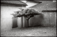 L-esseulé - Photo of Carnac-Rouffiac