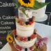 Small three tiered semi naked wedding cake with flowers and soft fruits