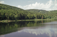 Lauch lake - Photo of Moosch