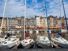 Yachts in Honfleur Harbour  - France - Photo of Fourneville