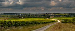 Angeac champagne (Charente)