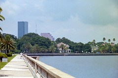 Bayshore Boulevard, Tampa, 1985