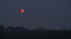 The Harvest Moon Rising Over Berthouville - Photo of Fresne-Cauverville