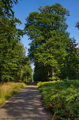 Route Chrétiennette - Photo of Fleury