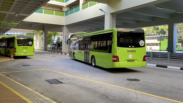 Tower Transit Singapore - MAN NL323F A22 (Batch 1) SMB3016X on 177 (Rear)