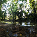 River Loddon