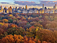 Autumn 🍂 in New York City Central Park