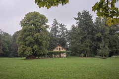 Huge trees - Photo of Flancourt-Catelon