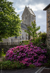 Le Mesnil - Photo of Saint-Georges-Montcocq
