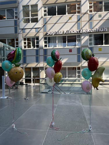 Ballonboeket Fruit Opening Smoothiebar op Wielen Sophia Kinderziekenhuis door Nicolette van Dam en Bas Smit