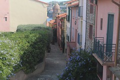 Colours of Collioure - Photo of Saint-André