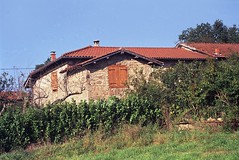 Haute-Rivoire (Rhône)