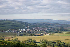 Dangolsheim from Scharrachberg - Photo of Wintzenheim-Kochersberg