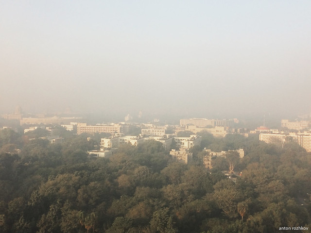 Delhi_11