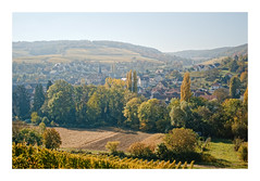 Automne en Alsace - Photo of Wintzenheim-Kochersberg