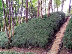 LE BOIS SACRÉ - Photo of Grèzes