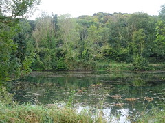 Incheville les étangs (2) - Photo of Monchaux-Soreng
