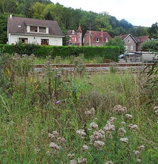Incheville en 2021 - Photo of Maisnières