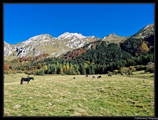 Escapade dans les Hautes Pyrénées- France