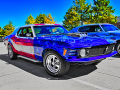 USA Mustang