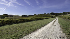 Bouteville-Chemin blanc - Photo of Moulidars