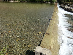 Fully silted weir on the Cèze River, France - Photo of Le Martinet