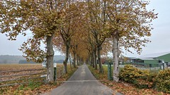 Route D820 devant le Cimetière du Camp du Vernet