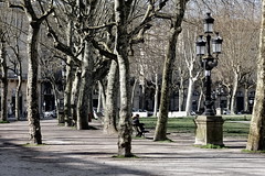 Solitude - Photo of Bordeaux