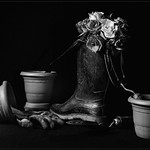 HC PDI League 3 - Still Life With Roses by Eric Cheek