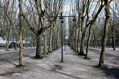 L'allée de la Place des Quinconces - Photo of Bordeaux
