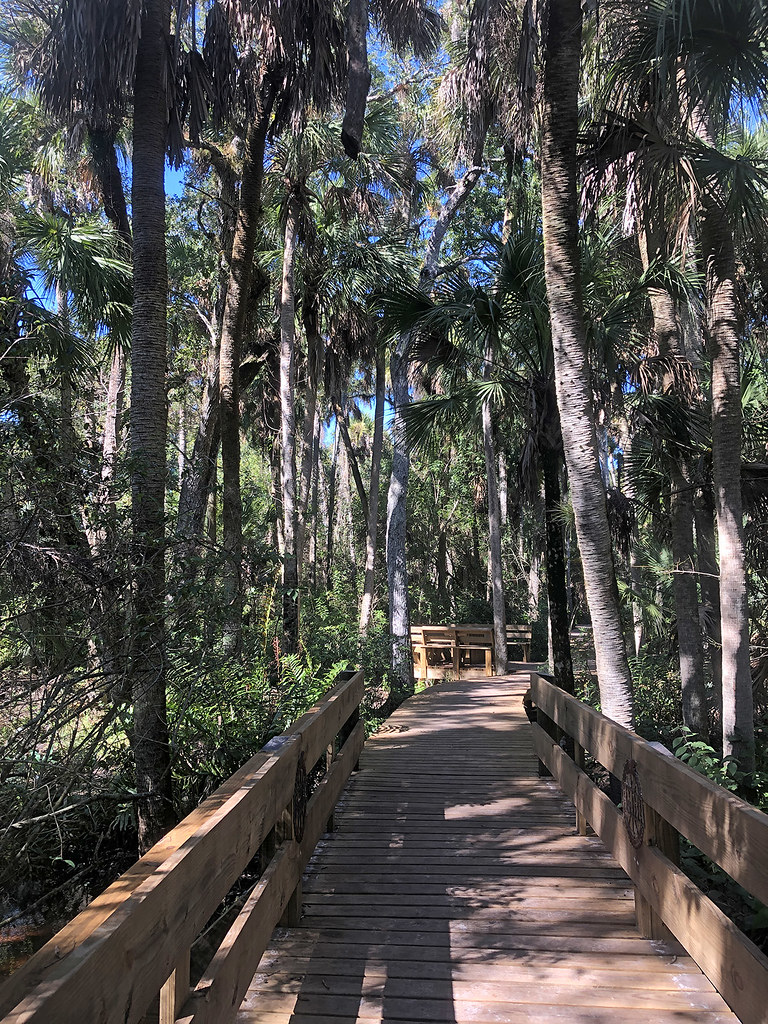 Turkey Creek Trails – Florida Hikes