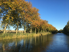 Canal du Midi - Photo of Issel