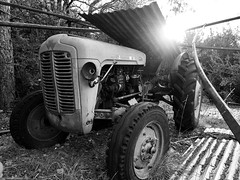 Tracteur en campagne - Photo of Castellane
