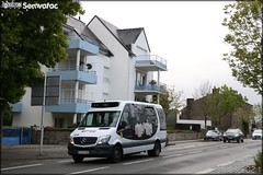 Dietrich Véhicules City 23 (Mercedes-Benz Sprinter) – Keolis Morbihan / Auray Bus
