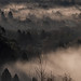 (14) image - Morning mist