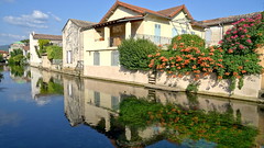 Reflections in the canal