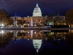U.S. Capitol Christmas Tree - 2021