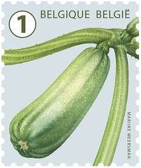 22a Timbre Courgette