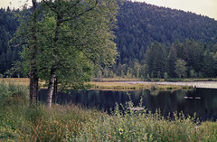 Lispach Lake