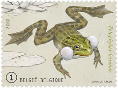 17 Grenouilles en Belgique timbreA