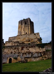 Le Bordelais. Nouvelle Aquitaine. France - Photo of Saint-Philippe-d'Aiguille
